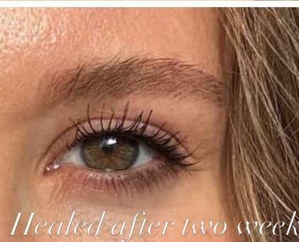 Soft Powder Brows After